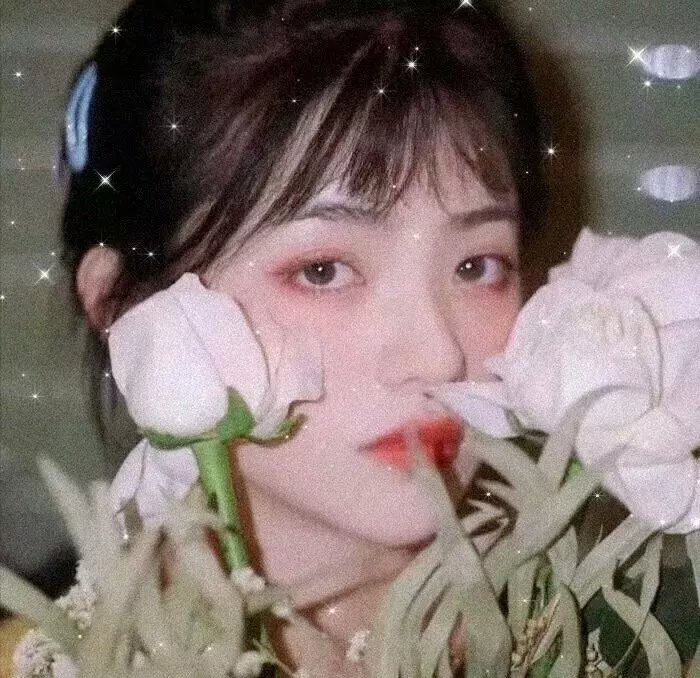 功夫杀手